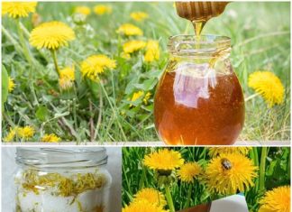 DOMAĆI Med od maslačka sa limunom. Bez KUHANJA! 🍯 🍯