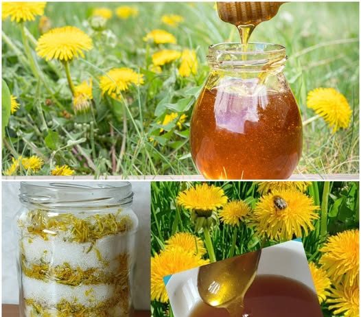 DOMAĆI Med od maslačka sa limunom. Bez KUHANJA! 🍯 🍯