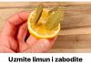 Uzmite limun i zabodite lovorov list: Neko bi trebao dobiti medalju za ovu ideju!