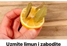 Uzmite limun i zabodite lovorov list: Neko bi trebao dobiti medalju za ovu ideju!