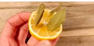 Uzmite limun i zabodite lovorov list: Neko bi trebao dobiti medalju za ovu ideju!