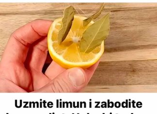 Uzmite limun i zabodite lovorov list: Neko bi trebao dobiti medalju za ovu ideju!