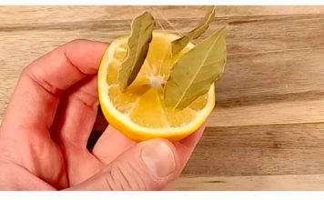 Uzmite limun i zabodite lovorov list: Neko bi trebao dobiti medalju za ovu ideju!