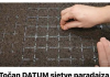 Točan DATUM sjetve paradajza, paprike, krastavaca i mrkve u 2026. godini: Vrtlari, ZAPIŠITE OVO!