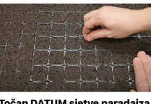 Točan DATUM sjetve paradajza, paprike, krastavaca i mrkve u 2026. godini: Vrtlari, ZAPIŠITE OVO!