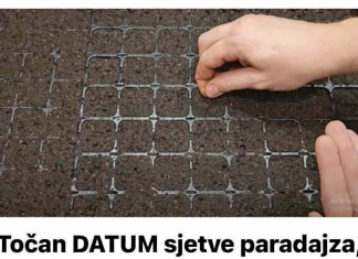 Točan DATUM sjetve paradajza, paprike, krastavaca i mrkve u 2026. godini: Vrtlari, ZAPIŠITE OVO!