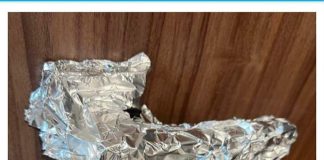 SVAKI PUT KAD SAM SAMA KUĆI NA ŠTEKU STAVIM ALUMINIJSKU F0LIJU: Kad Vidite Razlog 0dmah Ćete Uraditi IST0