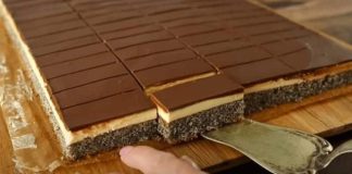 KOLAČ SA MAKOM I VANILA KREMOM – NEODOLJIVO UKUSAN! 🍰