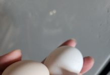 Molio je doktore da mu skrate muke, koža mu se topila, plakao je krv 83 dana: Nakon meseci agonije doživeo je najbolniju smrt