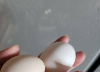 Molio je doktore da mu skrate muke, koža mu se topila, plakao je krv 83 dana: Nakon meseci agonije doživeo je najbolniju smrt