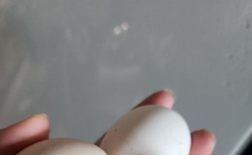 Molio je doktore da mu skrate muke, koža mu se topila, plakao je krv 83 dana: Nakon meseci agonije doživeo je najbolniju smrt
