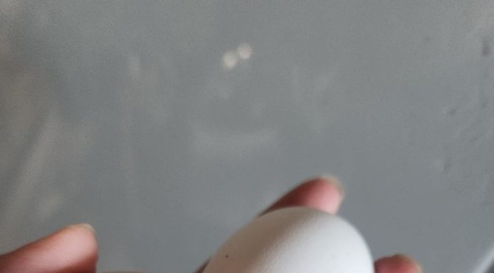 Molio je doktore da mu skrate muke, koža mu se topila, plakao je krv 83 dana: Nakon meseci agonije doživeo je najbolniju smrt