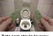 Zato sam stavio lovorov list u kupatilo: Znale su već naše bake!