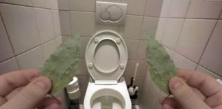 Zato sam stavio lovorov list u kupatilo: Znale su već naše bake!