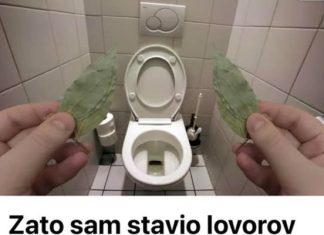Zato sam stavio lovorov list u kupatilo: Znale su već naše bake!