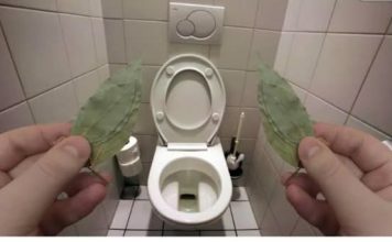 Zato sam stavio lovorov list u kupatilo: Znale su već naše bake!