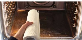 UZMITE papirni ubrus istavite ga upećnicu: ODAVNO nisam vidio bolju kuhinjsku ideju!