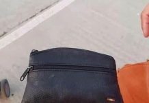 POUČNA PRIČA: Sve Stvari Imaju Svog Vlasnika