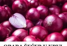 OBARA ŠEĆER U KRVI ZA NEKOLIKO SATI: