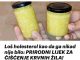 Loš holesterol kao da ga nikad nije bilo: PRIRODNI LIJEK ZA ČIŠĆENJE KRVNIH ŽILA!