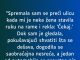 “Spremala sam se preći ulicu…”