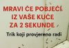 SAMO 1 KAP I MRAVI ĆE POBJEĆI IZ VAŠE KUĆE ZA 2 SEKUNDE…Najefikasni kućni TRIK…
