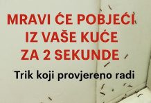 SAMO 1 KAP I MRAVI ĆE POBJEĆI IZ VAŠE KUĆE ZA 2 SEKUNDE…Najefikasni kućni TRIK…