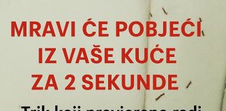 SAMO 1 KAP I MRAVI ĆE POBJEĆI IZ VAŠE KUĆE ZA 2 SEKUNDE…Najefikasni kućni TRIK…