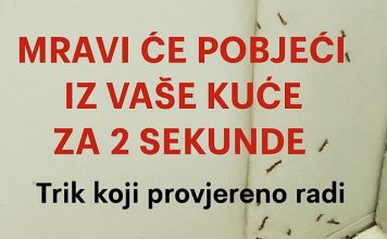 SAMO 1 KAP I MRAVI ĆE POBJEĆI IZ VAŠE KUĆE ZA 2 SEKUNDE…Najefikasni kućni TRIK…