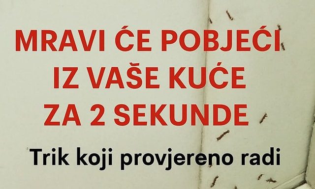SAMO 1 KAP I MRAVI ĆE POBJEĆI IZ VAŠE KUĆE ZA 2 SEKUNDE…Najefikasni kućni TRIK…