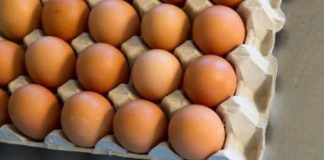 Ne bacajte vodu u kojoj ste kuhali jaja, može vam biti od velike koristi