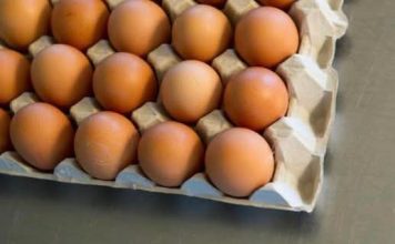 Ne bacajte vodu u kojoj ste kuhali jaja, može vam biti od velike koristi