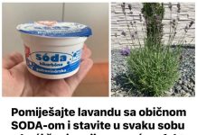 POMIJEŠAJTE LAVANDU SA OBIČNOM SODOM BIKARBONOM