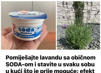 POMIJEŠAJTE LAVANDU SA OBIČNOM SODOM BIKARBONOM