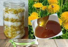 DOMAĆI MED OD MASLAČKA…BOJA, GUSTINA I OKUS SU ME ODUŠEVILI…