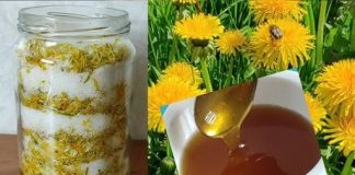 DOMAĆI MED OD MASLAČKA…BOJA, GUSTINA I OKUS SU ME ODUŠEVILI…