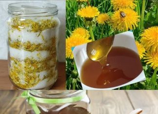 DOMAĆI MED OD MASLAČKA…BOJA, GUSTINA I OKUS SU ME ODUŠEVILI…