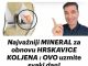 Najvažniji MINERAL za obnovu HRSKAVICE KOLJENA : OVO uzmite svaki