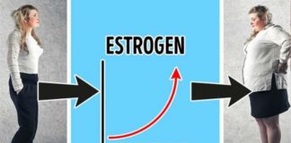 SALO NA BUTINAMA PRAVI ESTROGEN, NA STOMAKU KORTIZOL