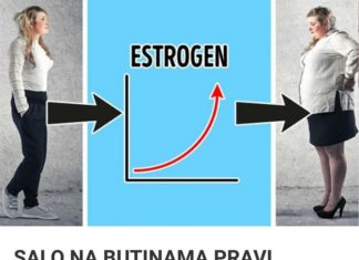 SALO NA BUTINAMA PRAVI ESTROGEN, NA STOMAKU KORTIZOL