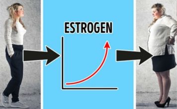 SALO NA BUTINAMA PRAVI ESTROGEN, NA STOMAKU KORTIZOL