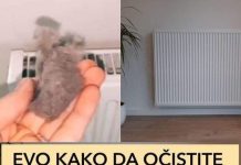 ODLUČILA JE OTKRITI SVOJU TAJNU: Ako poslušate savjet paradajz u vašoj bašti će nicati kao lud i biće PREUKUSAN….