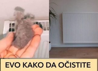 ODLUČILA JE OTKRITI SVOJU TAJNU: Ako poslušate savjet paradajz u vašoj bašti će nicati kao lud i biće PREUKUSAN….