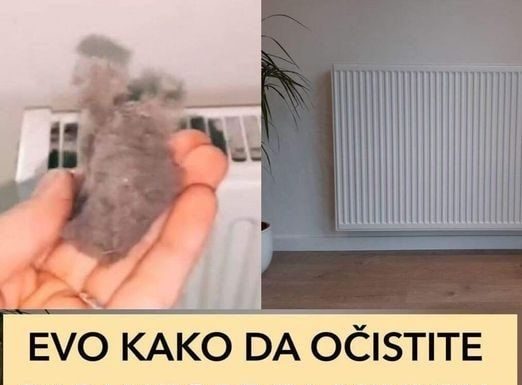 ODLUČILA JE OTKRITI SVOJU TAJNU: Ako poslušate savjet paradajz u vašoj bašti će nicati kao lud i biće PREUKUSAN….