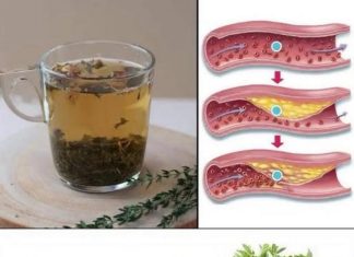 Borite se protiv bolesti kao što su loša cirkulacija, masna jetra, hipertenzija i …