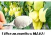 1 žlica za papriku u MAJU i ona ODMAH raste, oživljava i rađa 5 PUTA više: To je vrlo važan korak!