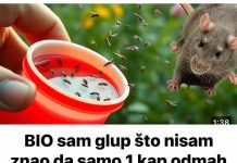 BIO sam glup što nisam znao da samo 1 kap odmah tjera komarce, miševe, mrave, moljce!