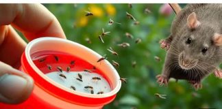 BIO sam glup što nisam znao da samo 1 kap odmah tjera komarce, miševe, mrave, moljce!