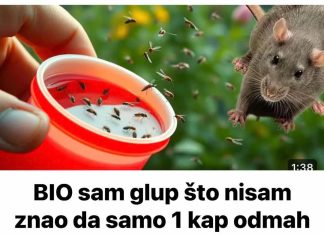 BIO sam glup što nisam znao da samo 1 kap odmah tjera komarce, miševe, mrave, moljce!