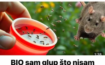 BIO sam glup što nisam znao da samo 1 kap odmah tjera komarce, miševe, mrave, moljce!